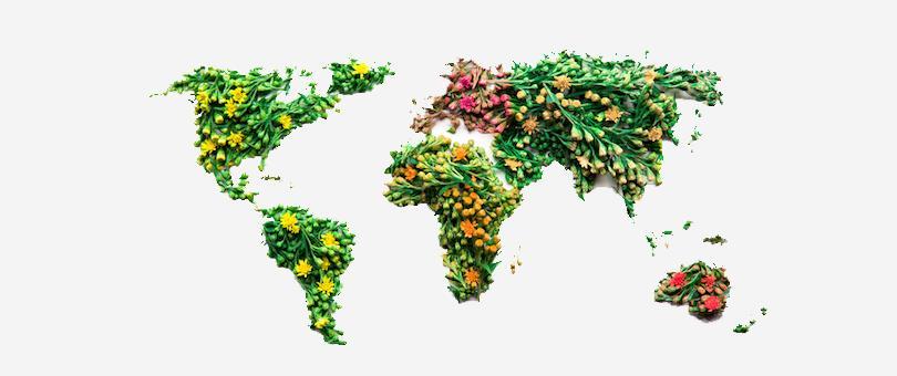 Global Ecommerce: Massive Opportunity Ahead For the Borderfree Business